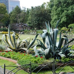 東京都・日比谷公園