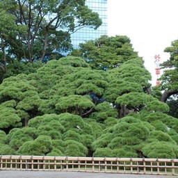 東京都・浜離宮