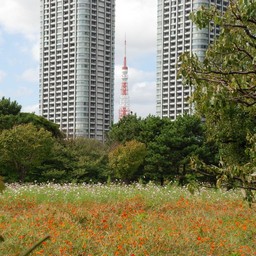 東京都・浜離宮
