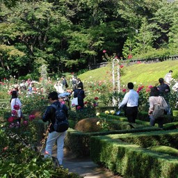 東京都・旧古河庭園