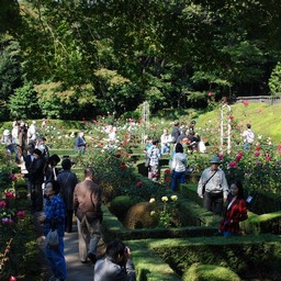 東京都・旧古河庭園