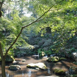 東京都・六義園