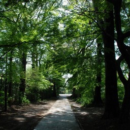 川口市安行・興禅院