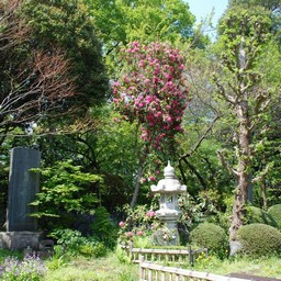 川口市安行・興禅院