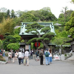 鎌倉市・長谷寺