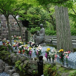 鎌倉市・長谷寺