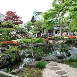 鎌倉市・長谷寺