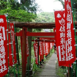 鎌倉市・佐助稲荷神社