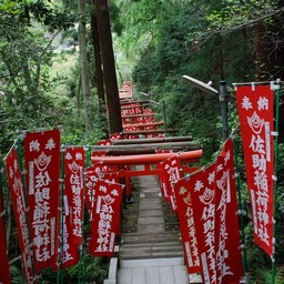 鎌倉市・佐助稲荷神社