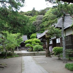 鎌倉市・円覚寺