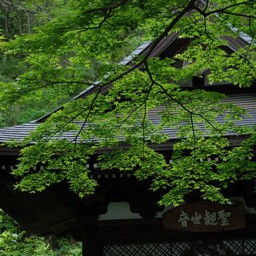 鎌倉市・円覚寺