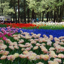 茨城県・ひたち海浜公園