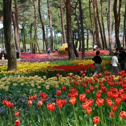 茨城県・ひたち海浜公園