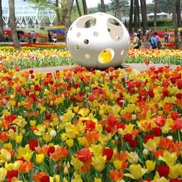 茨城県・ひたち海浜公園
