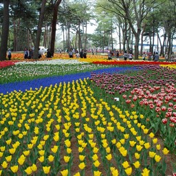 茨城県・ひたち海浜公園