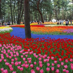 茨城県・ひたち海浜公園