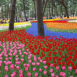 茨城県・ひたち海浜公園