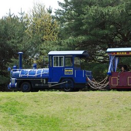 茨城県・ひたち海浜公園