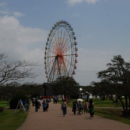 茨城県・ひたち海浜公園
