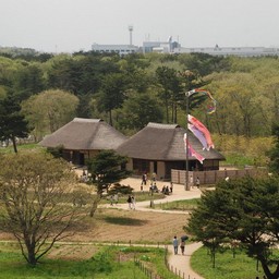 茨城県・ひたち海浜公園