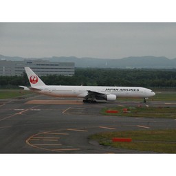 千歳市・新千歳空港・JAL