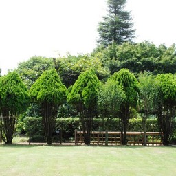 川口市