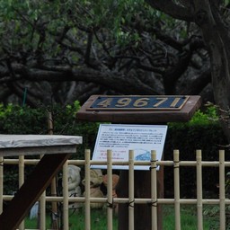 市川市・動物園