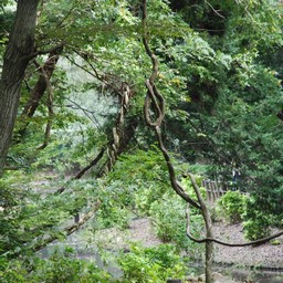 市川市・自然公園