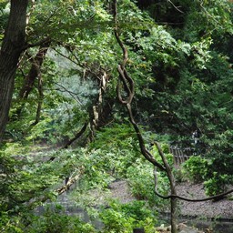 市川市・自然公園