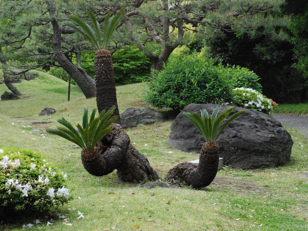 s`Eŗ{뉀 - ii{j - ʐ^f - ݃{