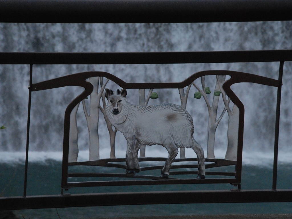 Ȗ،snER - ii{j - ʐ^f - ݃{