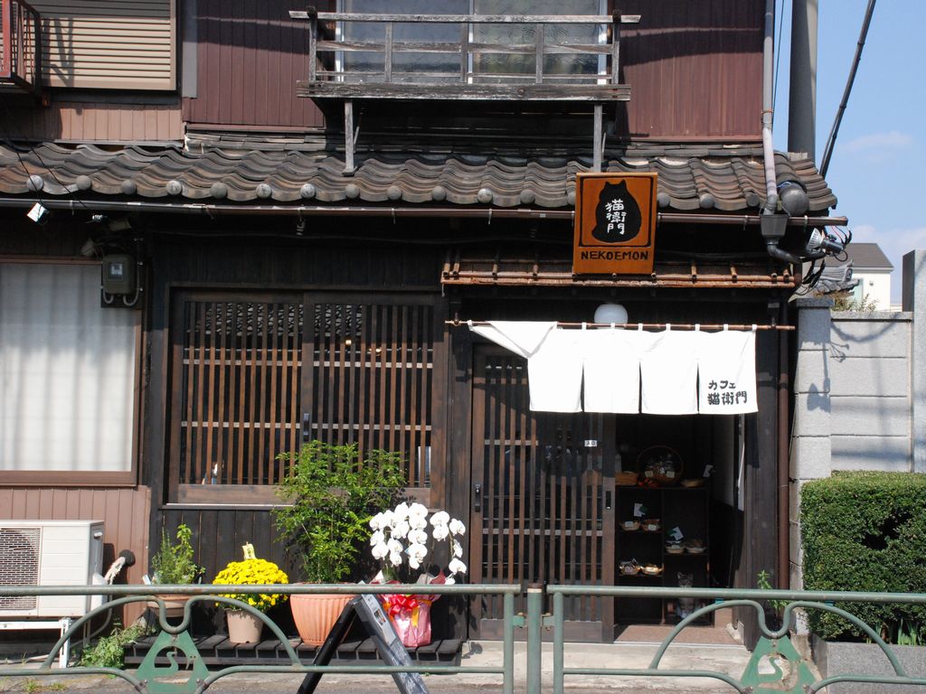 s䓌EJtFLq - ii{j - ʐ^f - ݃{