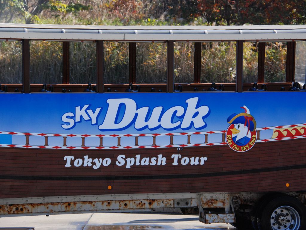 s]ESkyDuck - ii{j - ʐ^f - ݃{