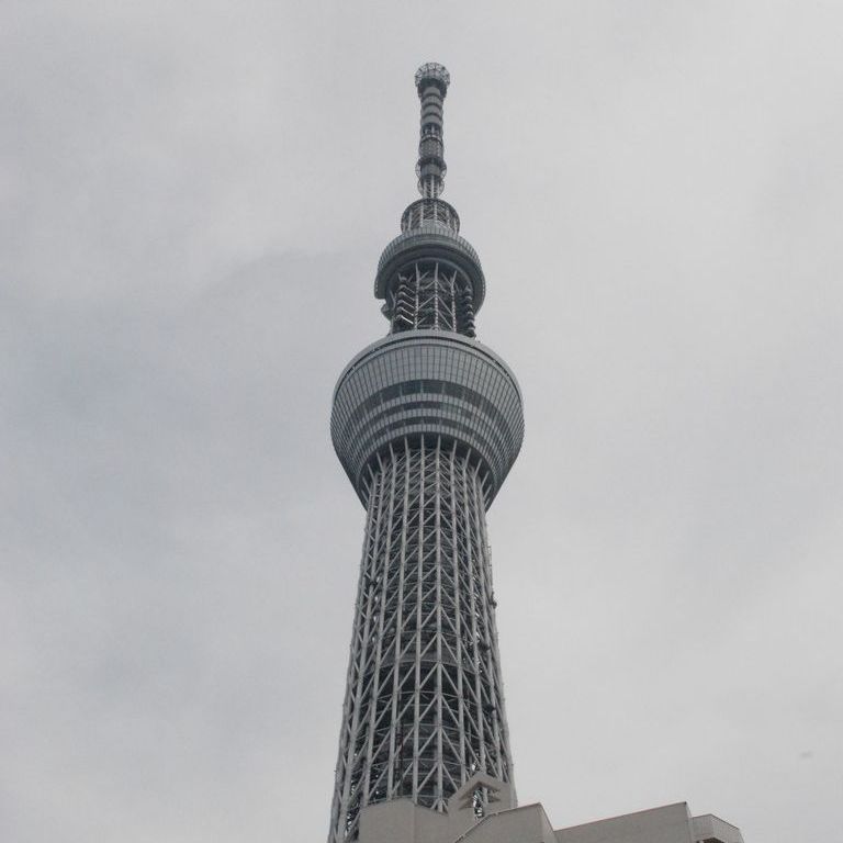 s䓌󑐁EXJCc[^[ - ii{j - ʐ^f - ݃{