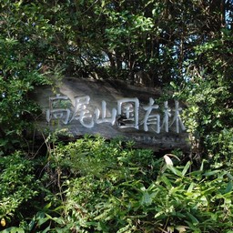 八王子市・高尾山