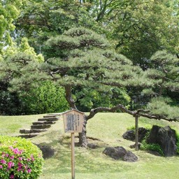 東京都・旧芝離宮