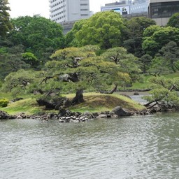 東京都・旧芝離宮