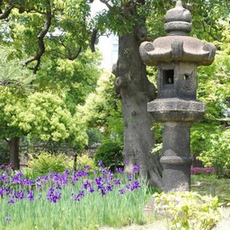 東京都・旧芝離宮