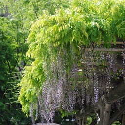 東京都・旧芝離宮