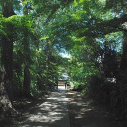 川口市・興禅院