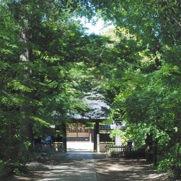 川口市・興禅院