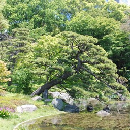 東京都・皇居