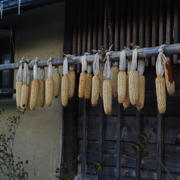 群馬県・薬師温泉