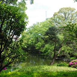 東京都・浅草寺