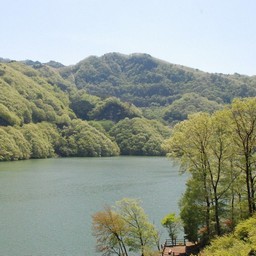群馬県・草木ダム