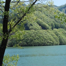 群馬県・草木ダム