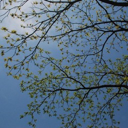 群馬県・草木ダム