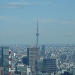 東京都・東京タワーからの景色