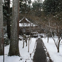 京都市・三千院