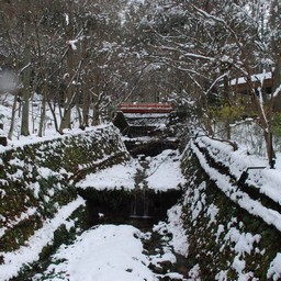 京都市・三千院